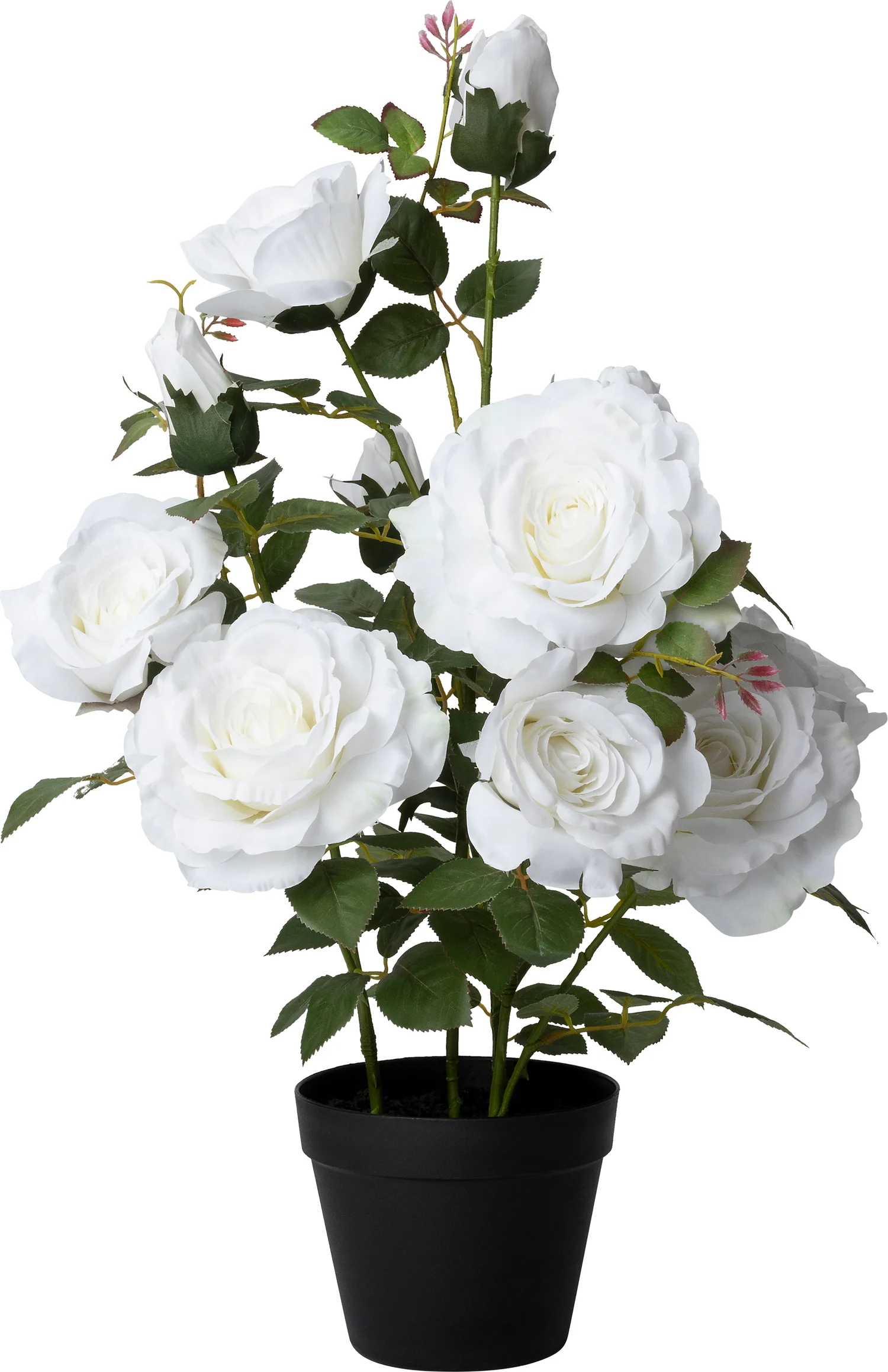 Intratuin kunstplant Roos wit D 15 H 70 cm