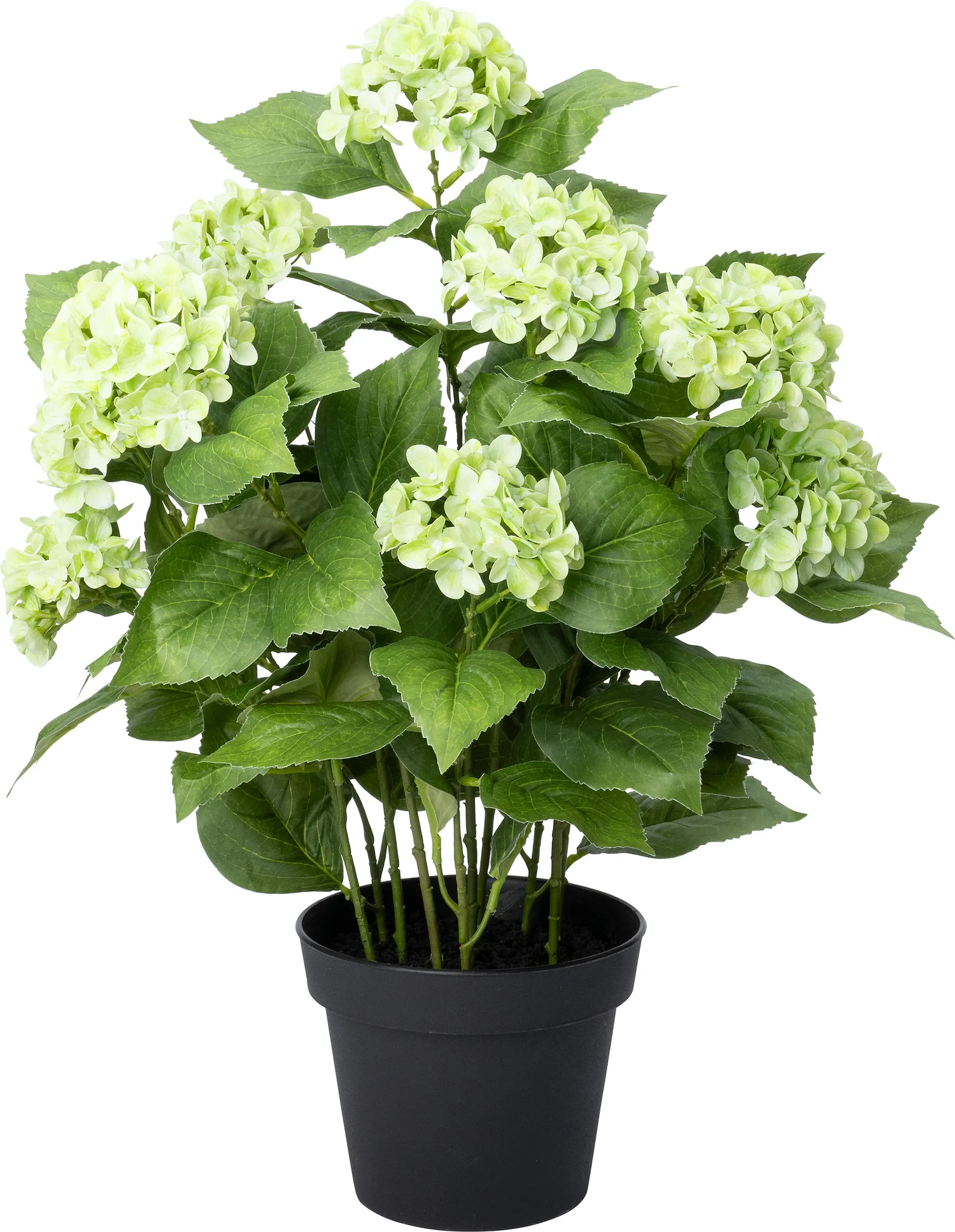 Intratuin kunstplant Hortensia groen D 20 H 68 cm