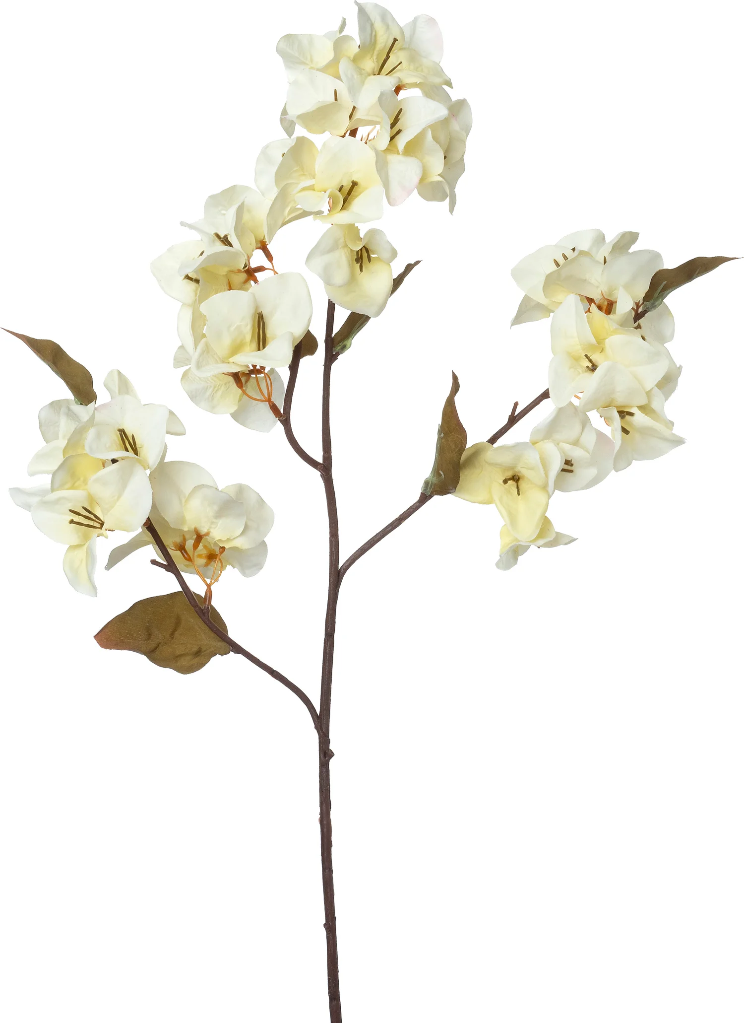 Intratuin kunstbloem Bougainville wit H 70 cm