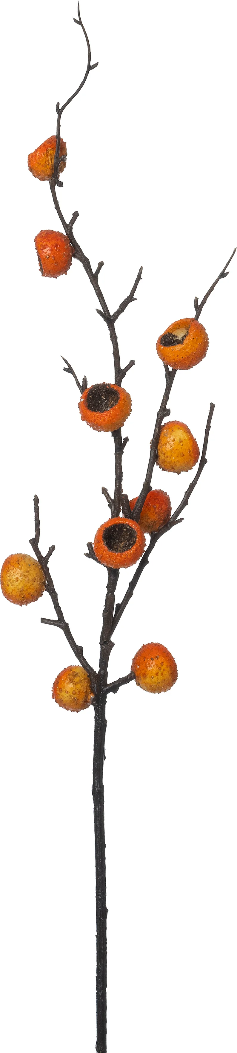 Intratuin kunsttak tak met bes oranje H 65 cm