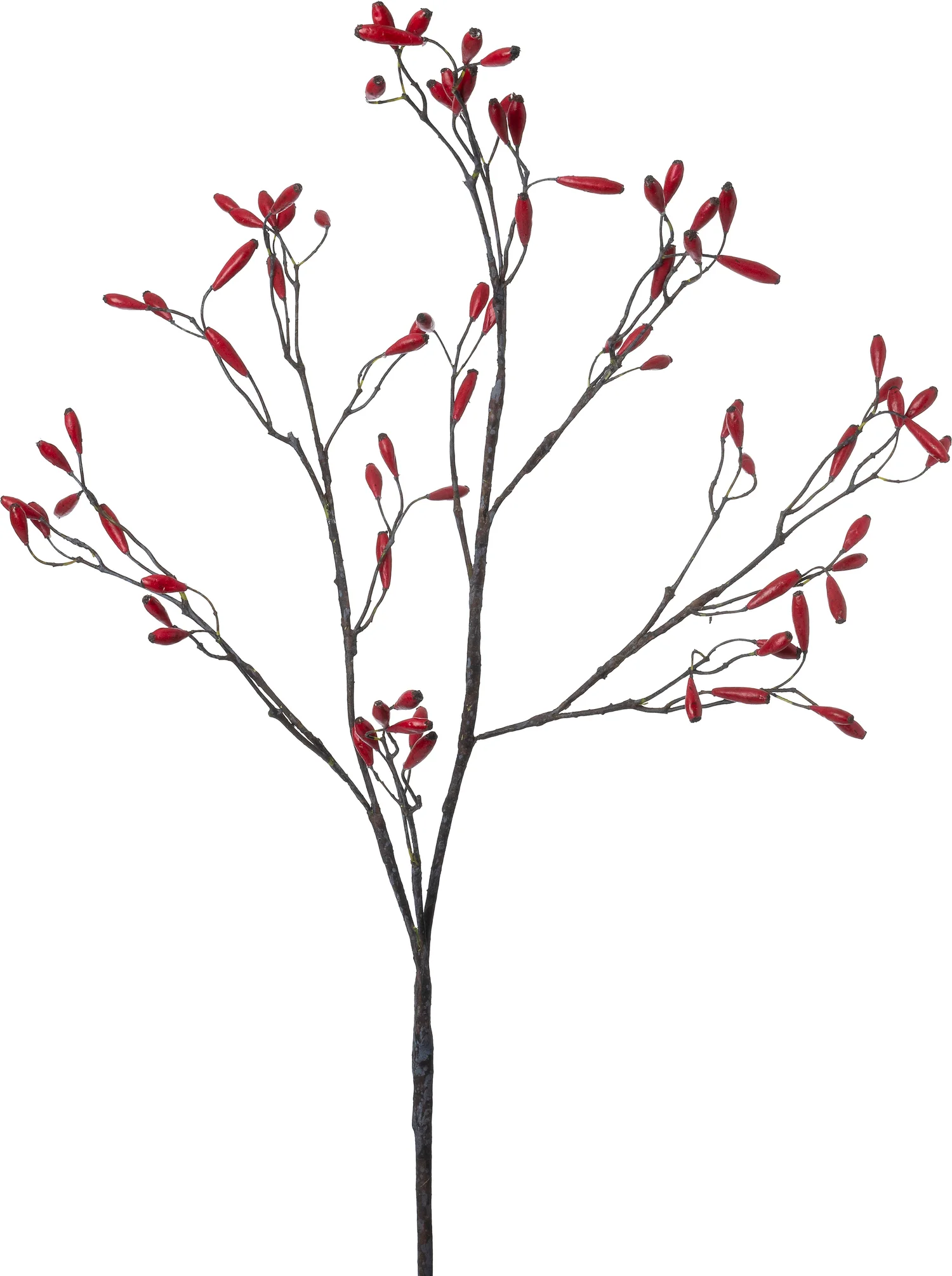 Intratuin kunsttak Rozenbottel rood 120 cm