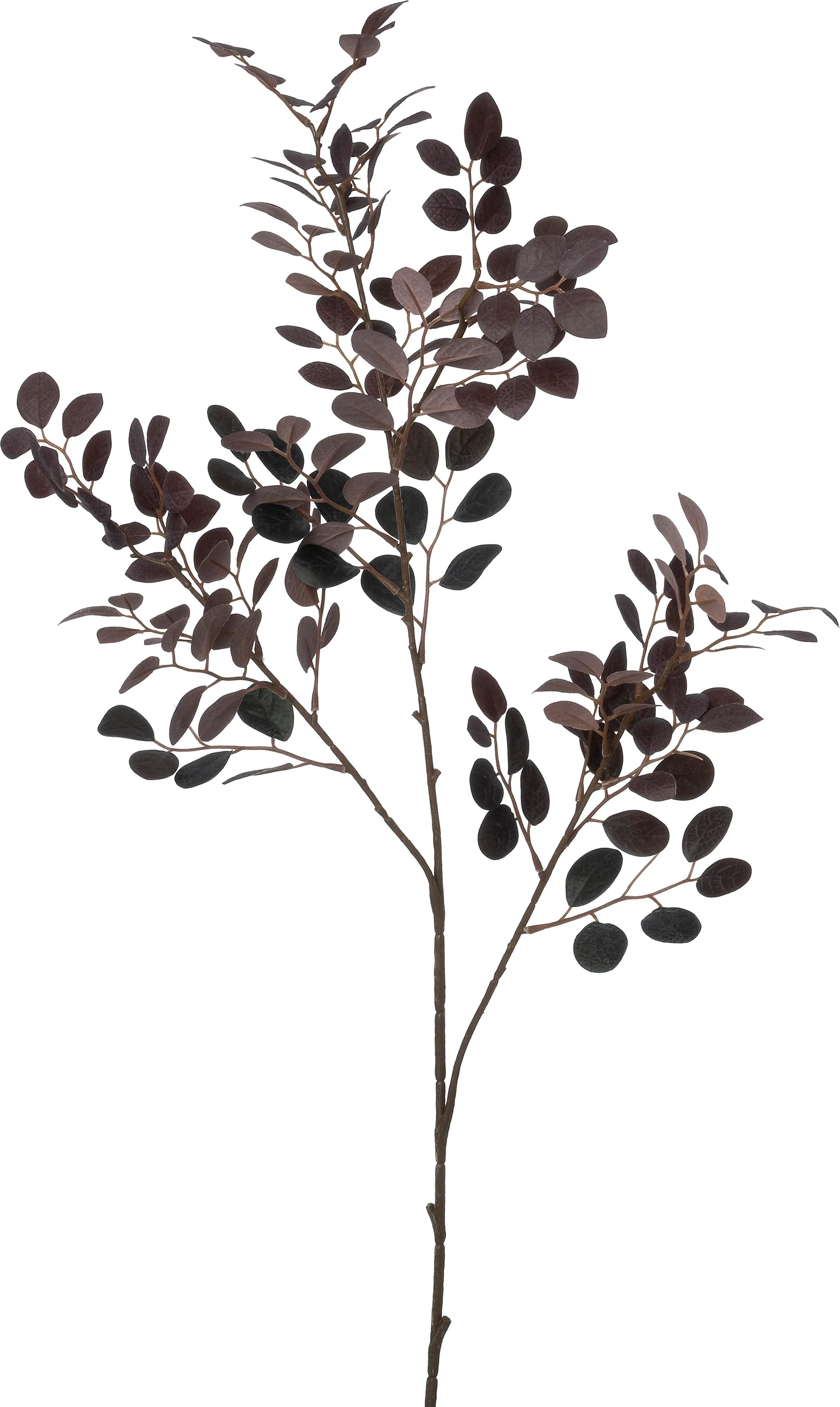 Intratuin kunsttak Eucalyptus bordeaux H 96 cm