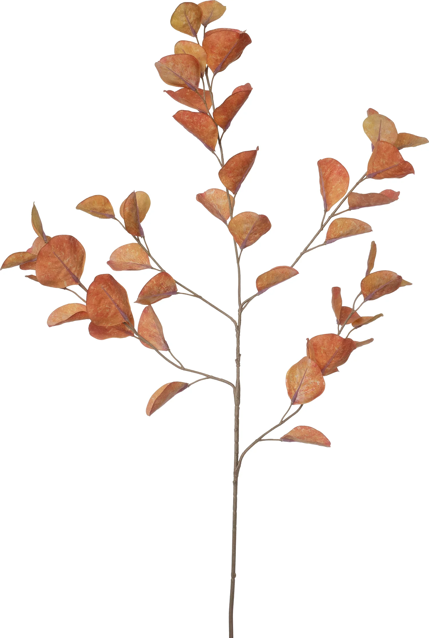 Intratuin kunsttak Eucalyptus oranje H 96 cm