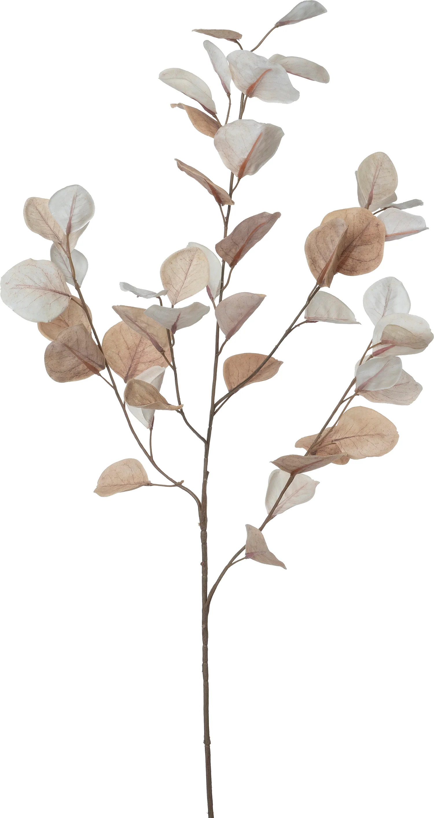 Intratuin kunsttak Eucalyptus wit, bruin H 96 cm