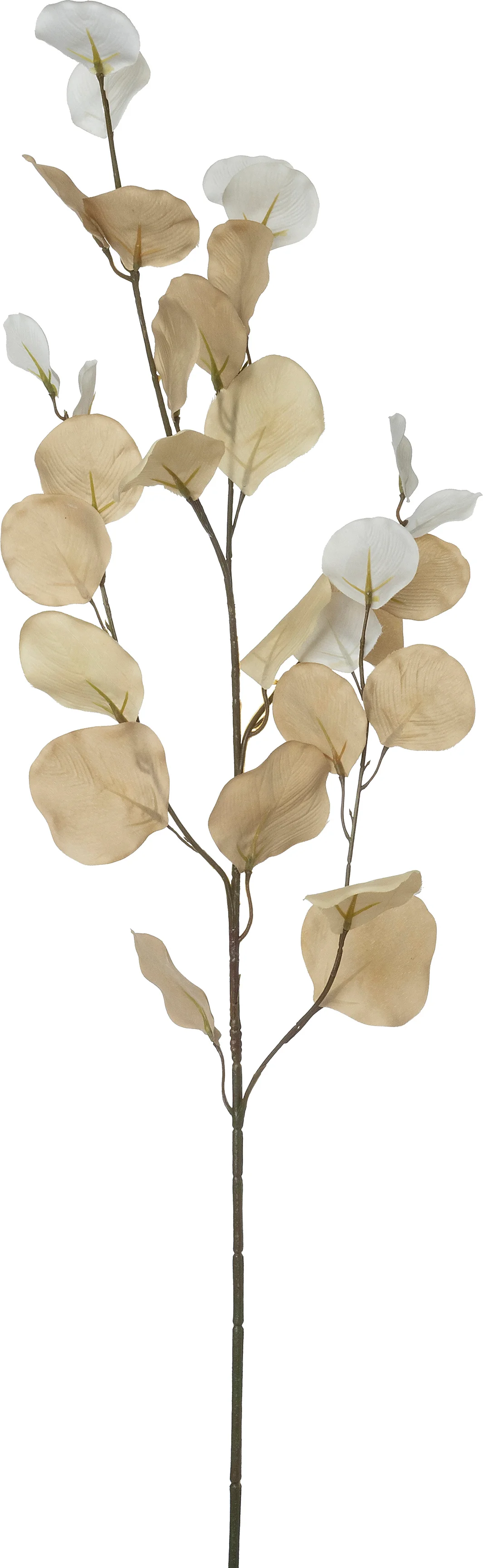 Intratuin kunsttak Eucalyptus wit, bruin H 90 cm