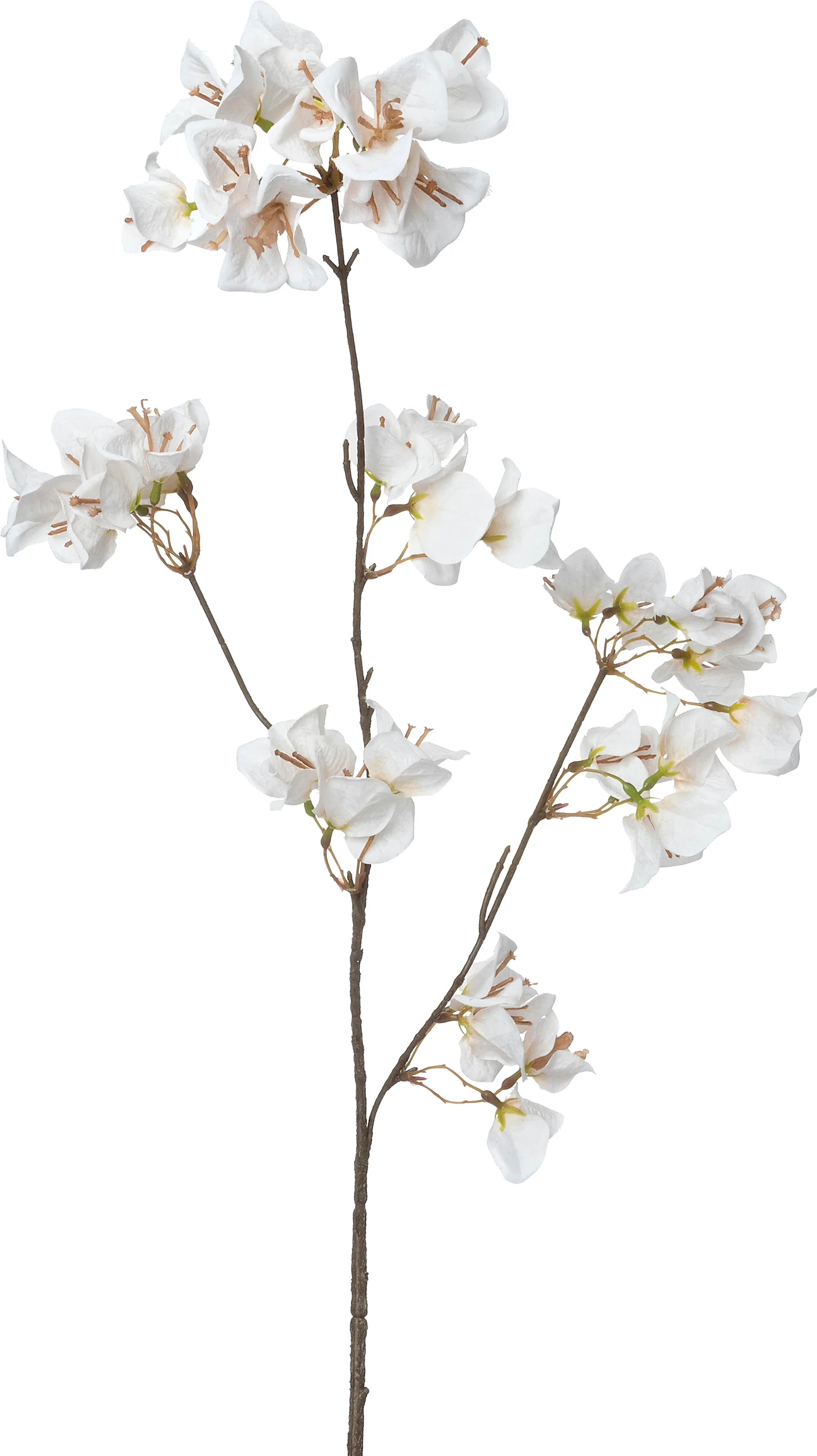 Intratuin kunstbloem Bougainville wit H 86 cm