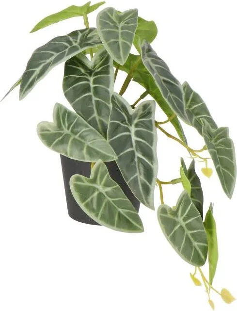 Intratuin kunstplant Olifantsoor D 9 H 18 cm