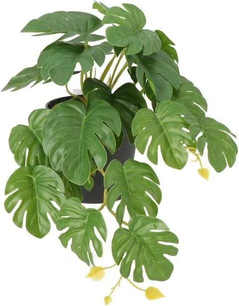Intratuin kunstplant Gatenplant D 9 H 30 cm