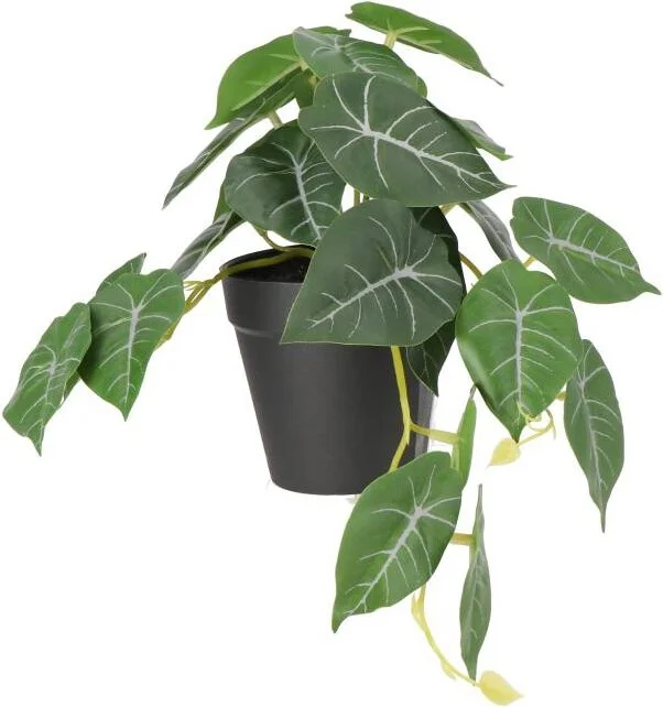 Intratuin kunstplant Olifantsoor D 9 H 30 cm