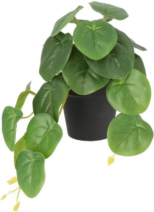 Intratuin kunstplant Pannekoekenplant D 9 H 31 cm