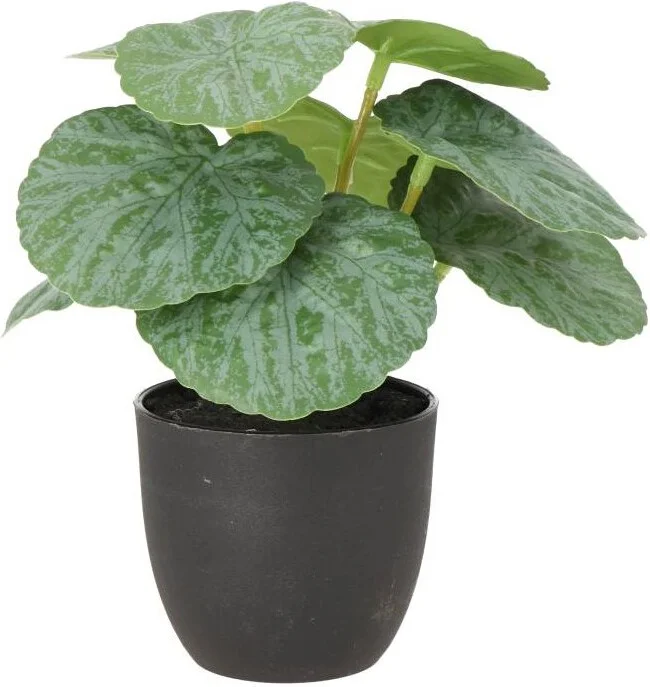 Intratuin kunstplant Bladbegonia D 9 H 18 cm