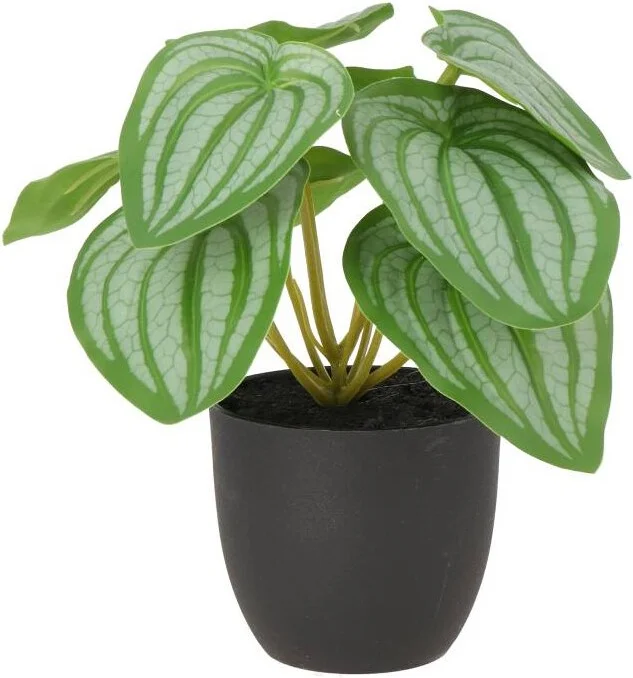 Intratuin kunstplant Watermeloenplant D 9 H 18 cm
