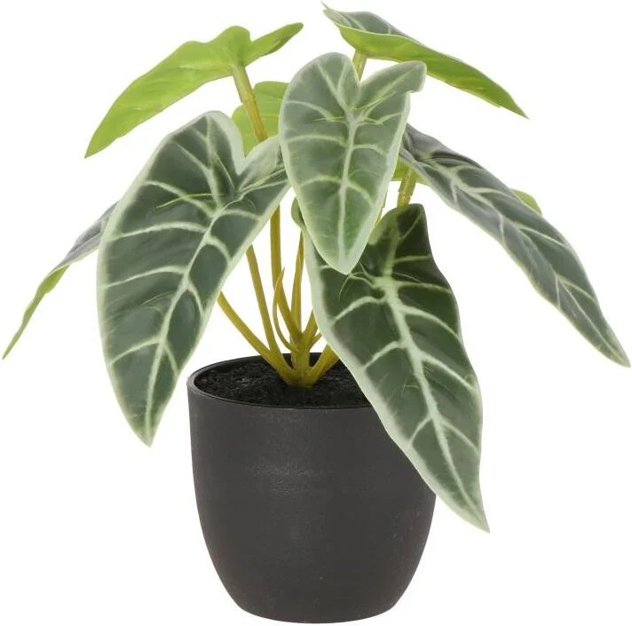 Intratuin kunstplant Bladbegonia groen/ grijs D 7 H 16 cm