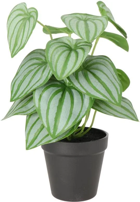 Intratuin kunstplant Watermeloen plant groen / grijs D 7 H 16 cm