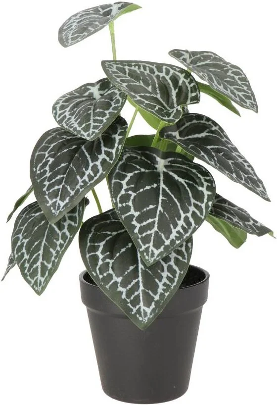 Intratuin kunstplant Olifantsoor groen / grijs D 7 H 16 cm