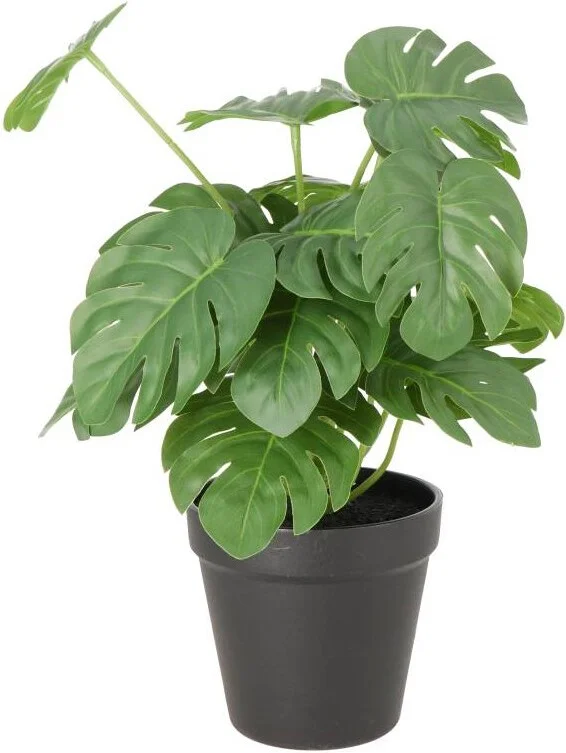 Intratuin kunstplant Gatenplant D 11 H 30 cm