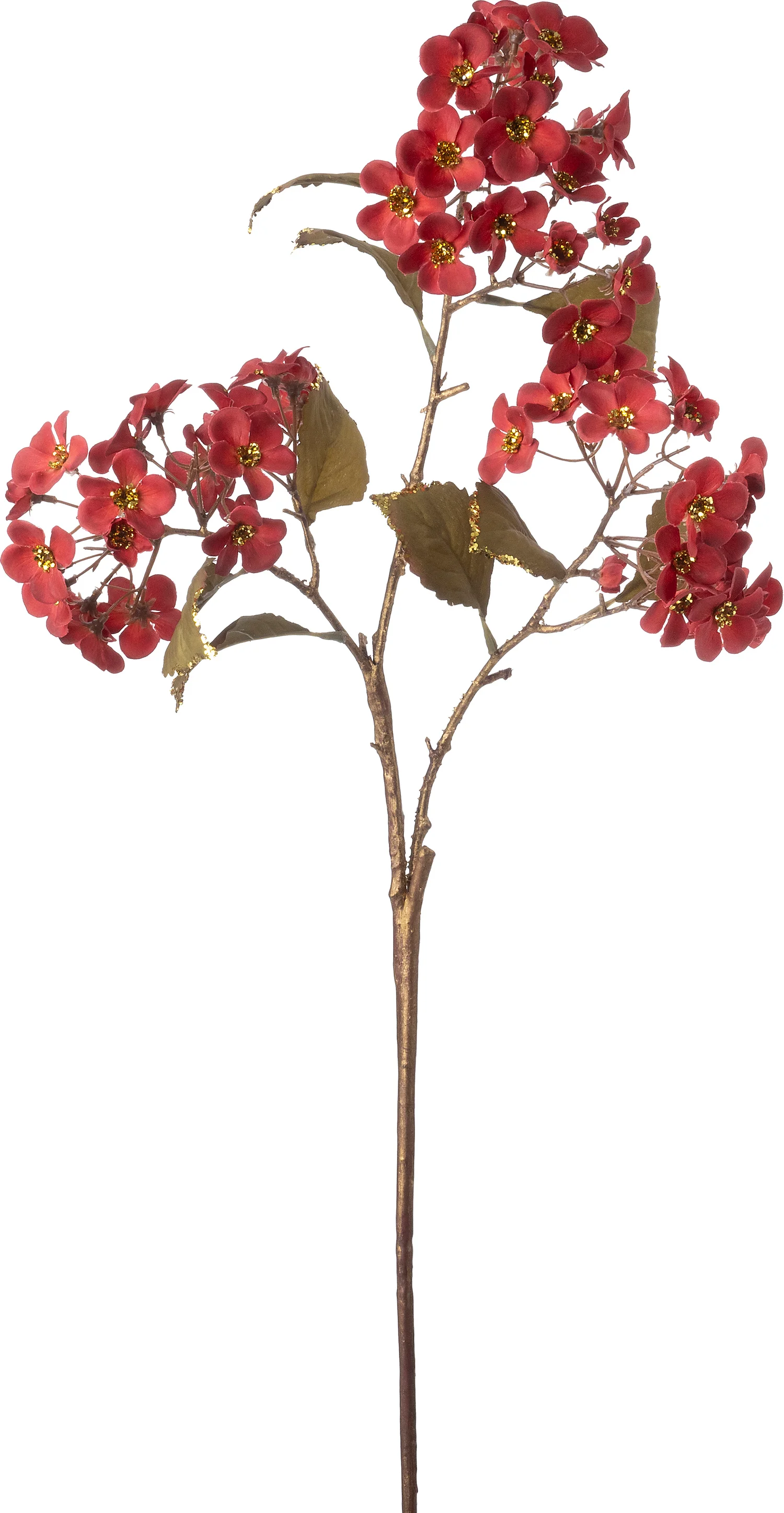 Intratuin kersttak bitterblad rood 104 cm