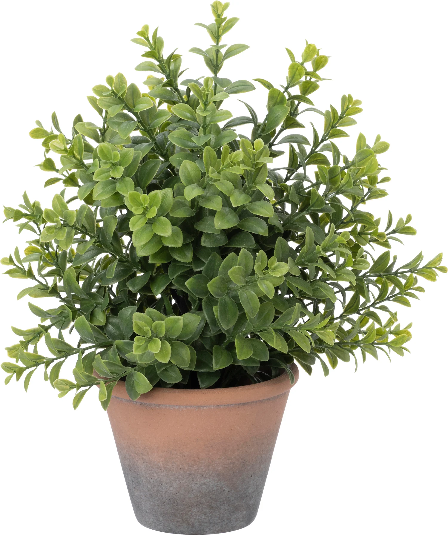 Intratuin kunstplant Buxus D 18 H 30 cm
