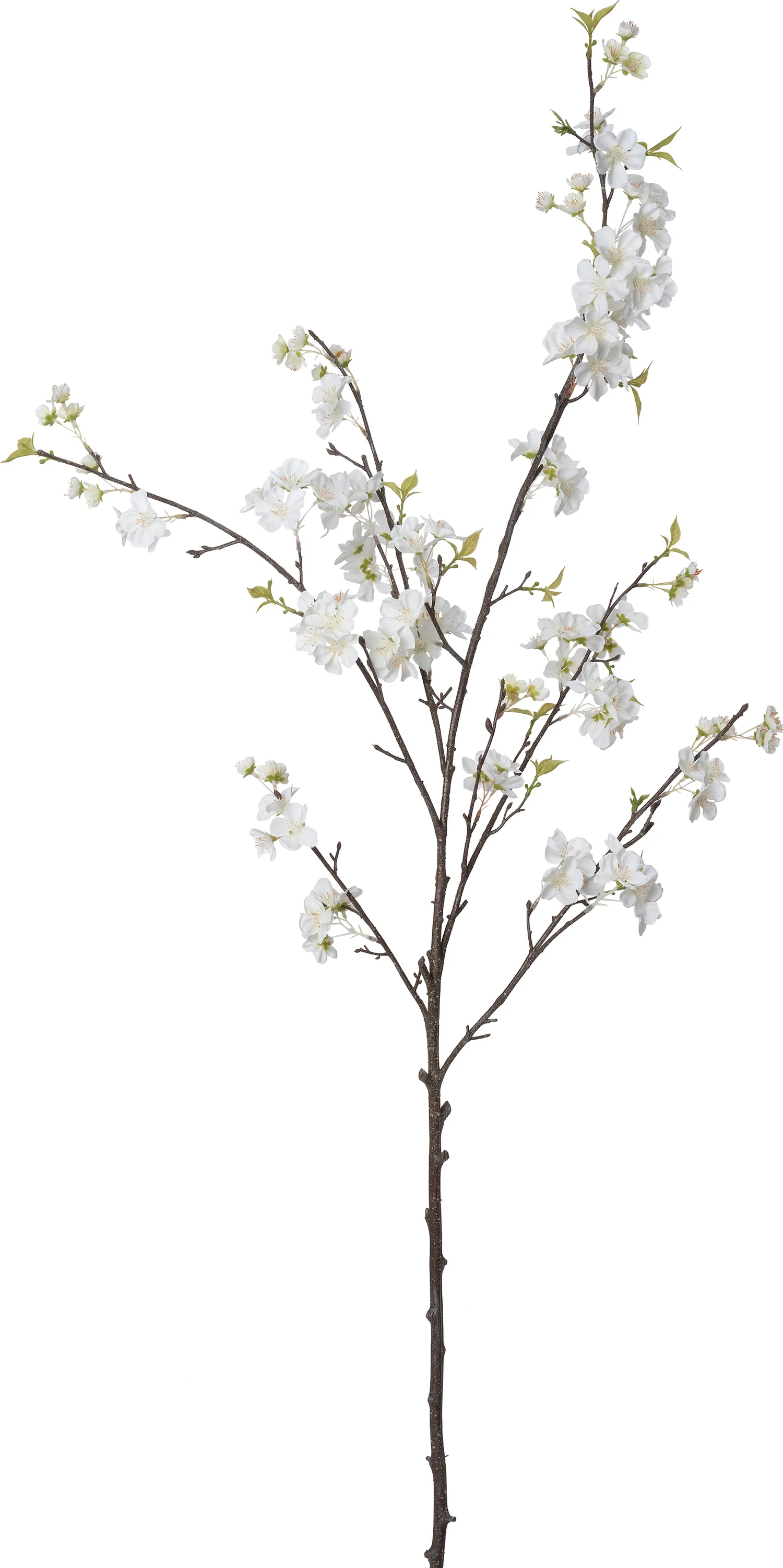 Intratuin kunstbloem Japanse Sierkers wit 150 cm