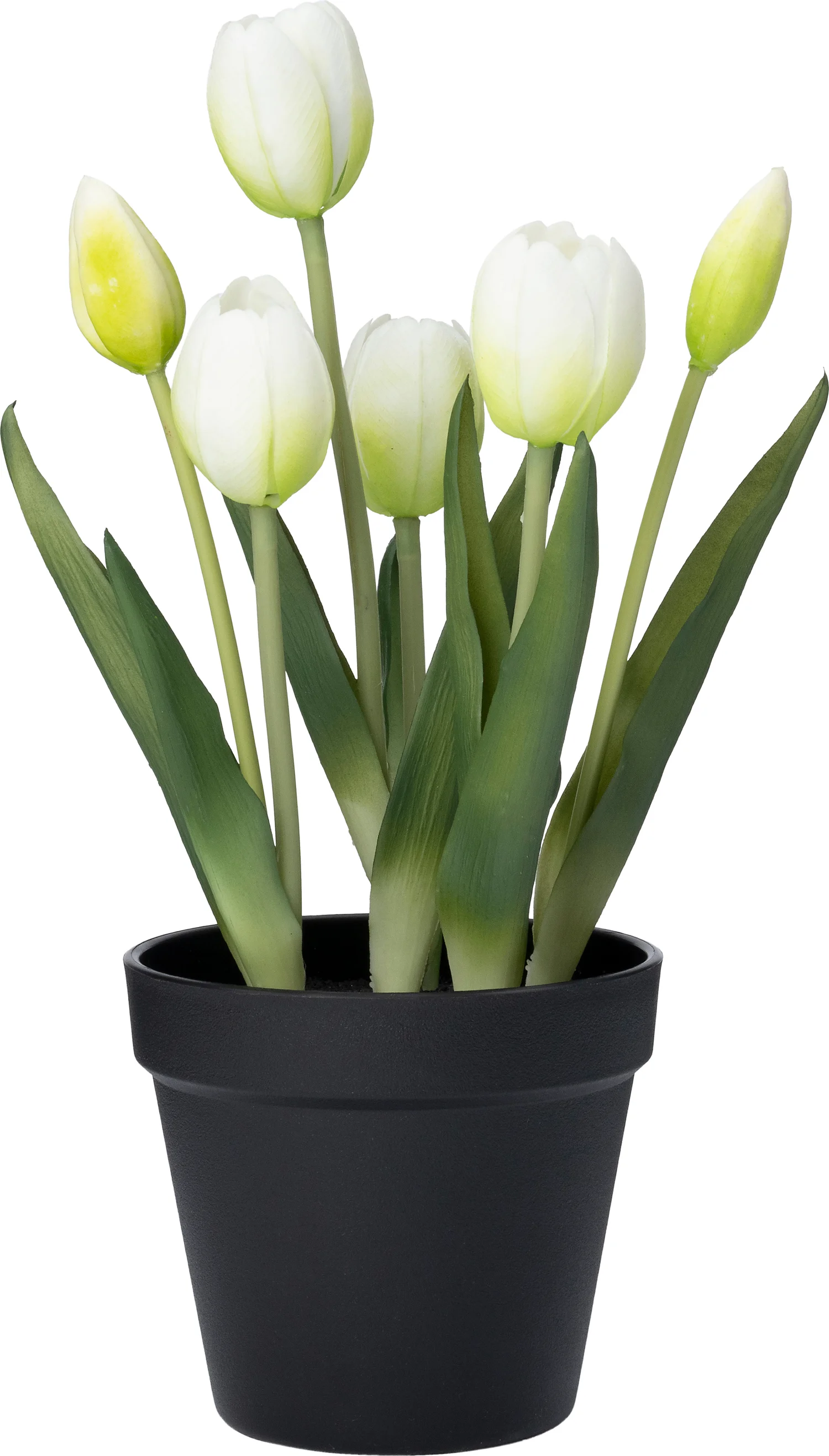 Intratuin kunstplant Tulp wit D 13 H 33 cm