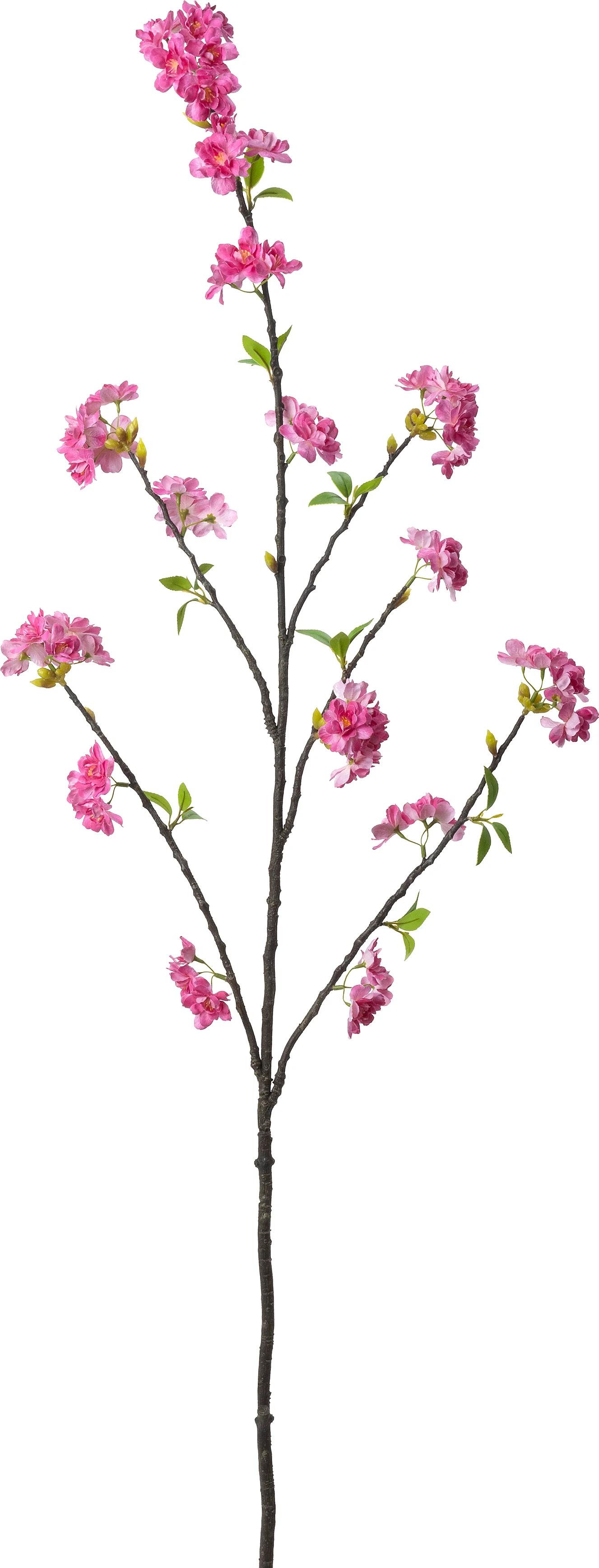 Intratuin kunstbloem Japanse Sierkers roze 140 cm