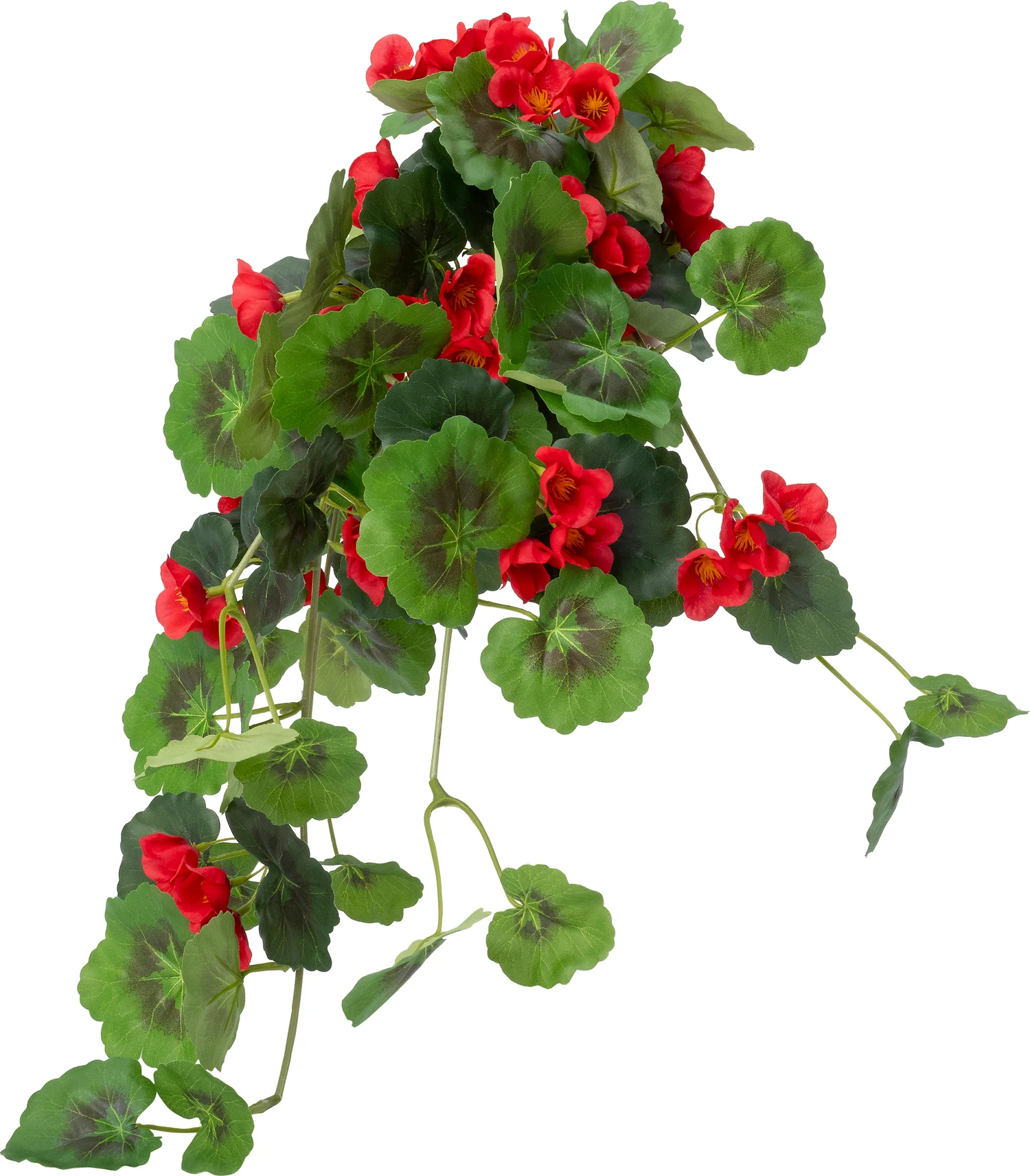 Intratuin kunsthangplant Hanggeranium rood D 12 H 55