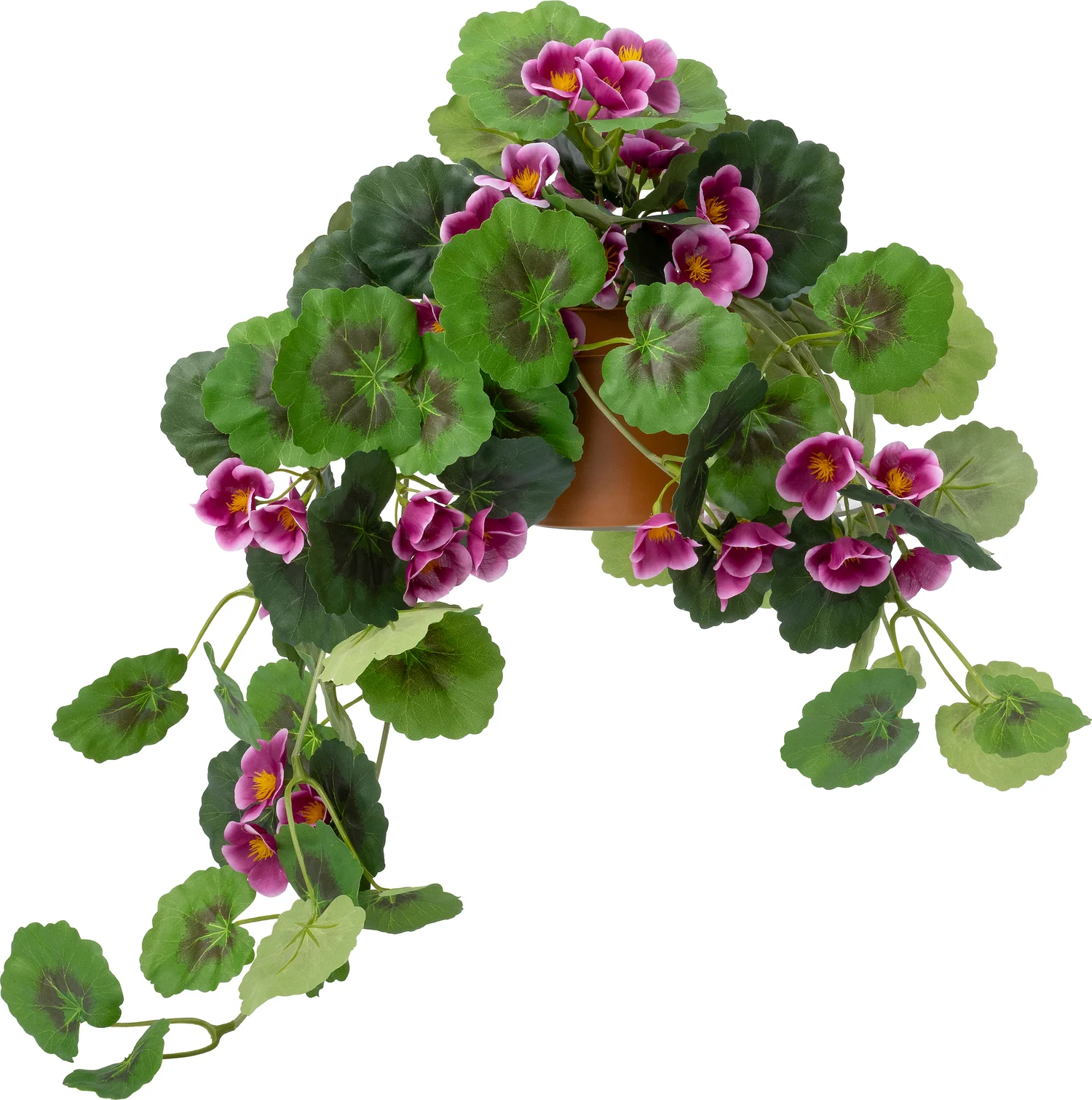 Intratuin kunsthangplant Hanggeranium roze D 12 H 55
