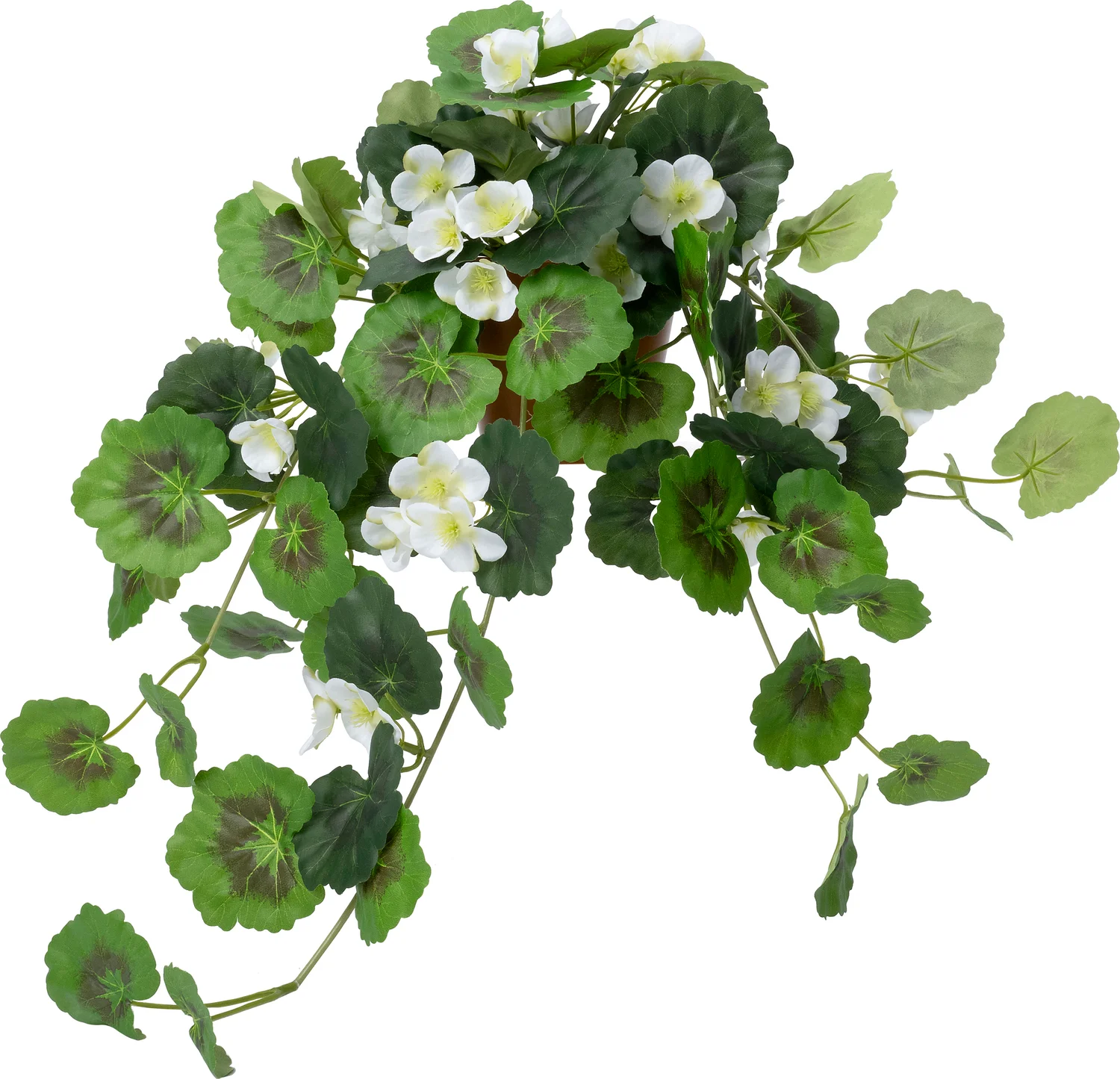 Intratuin kunsthangplant Hanggeranium wit D 12 H 55