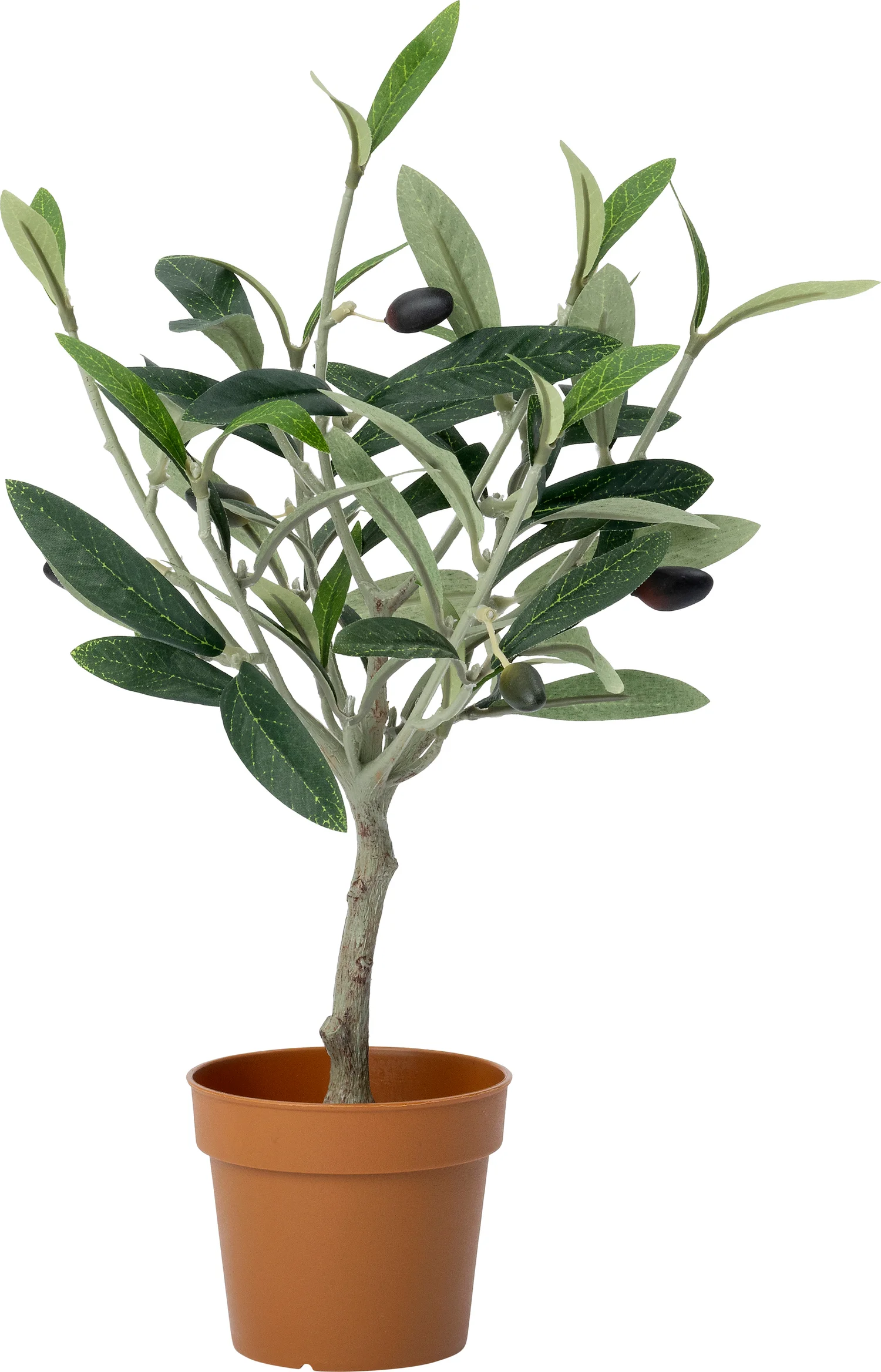 Intratuin kunstplant Olijfboom  D 8,5 H 32