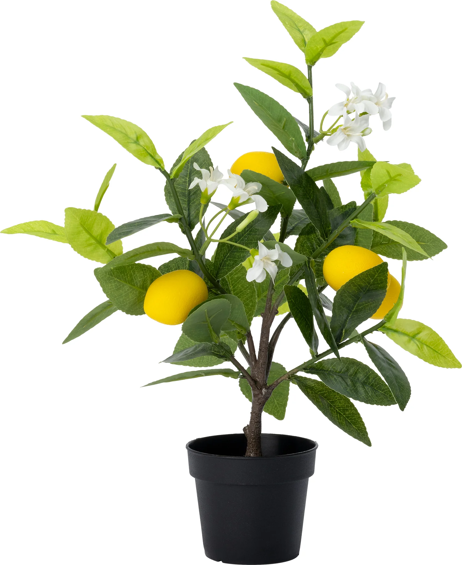Intratuin kunstplant Limoenboom geel / wit D 8,5 H 38