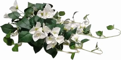Intratuin kunstplant Bougainville hangend wit 22 x 22 x 70 cm